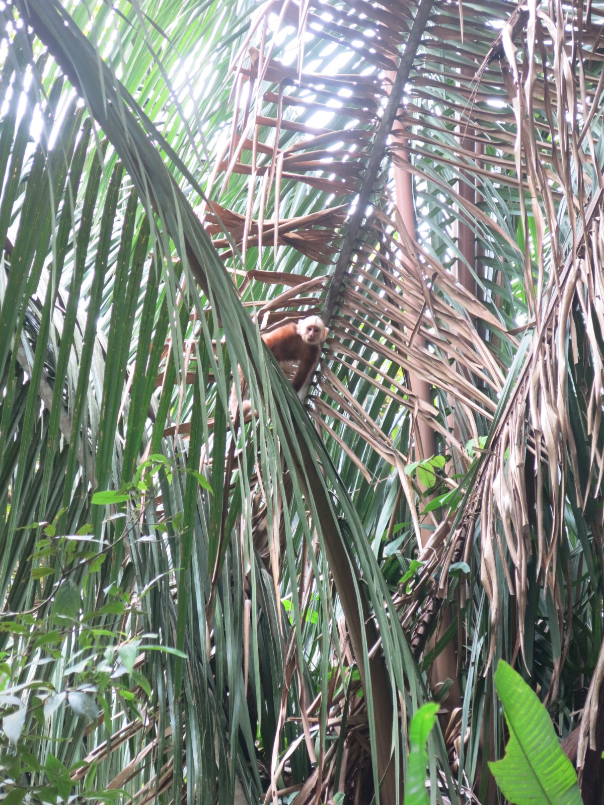 1eebde6f-8a79-4fb2-a92b-58cf8f339ee7