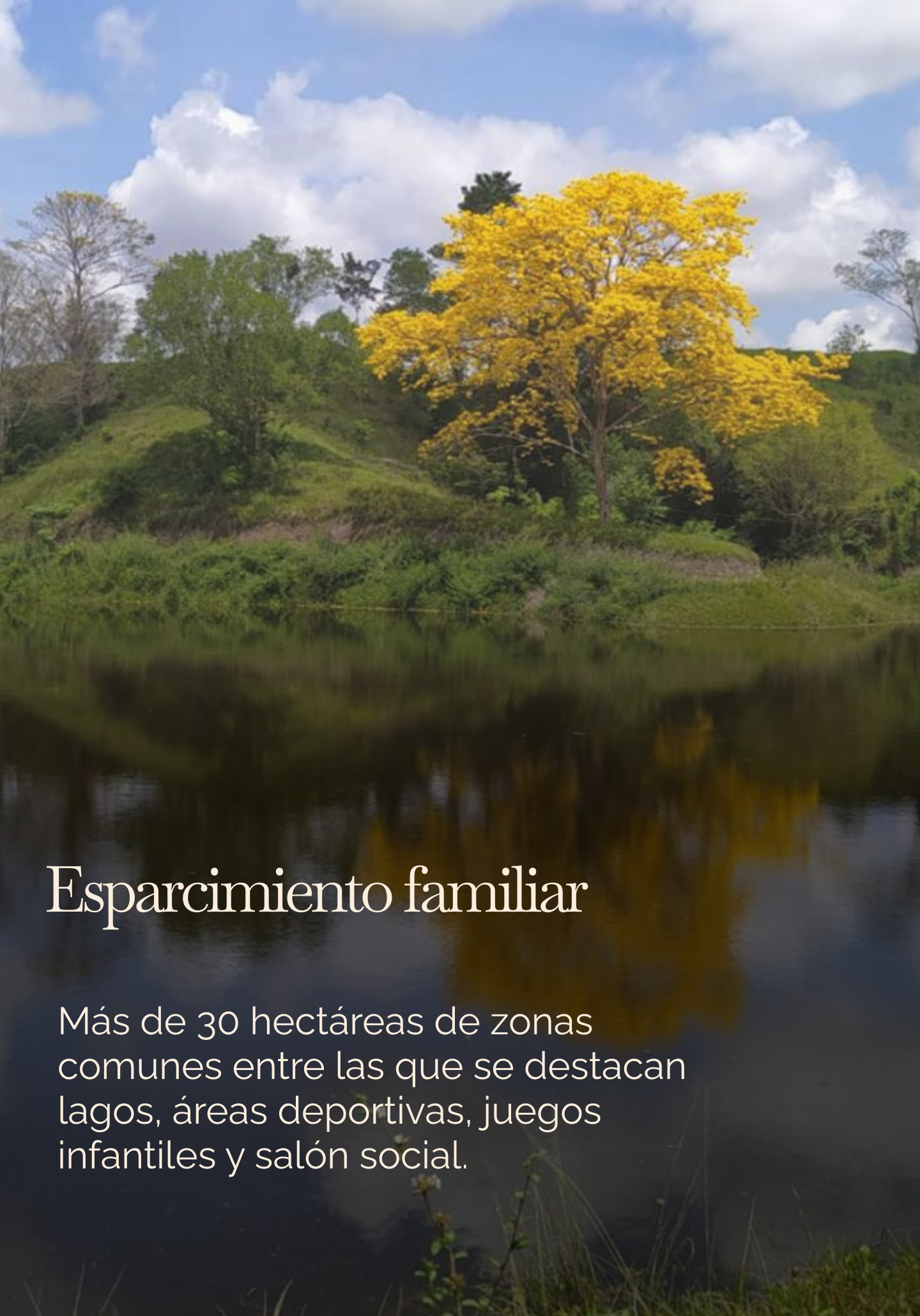 Banner principal (1)