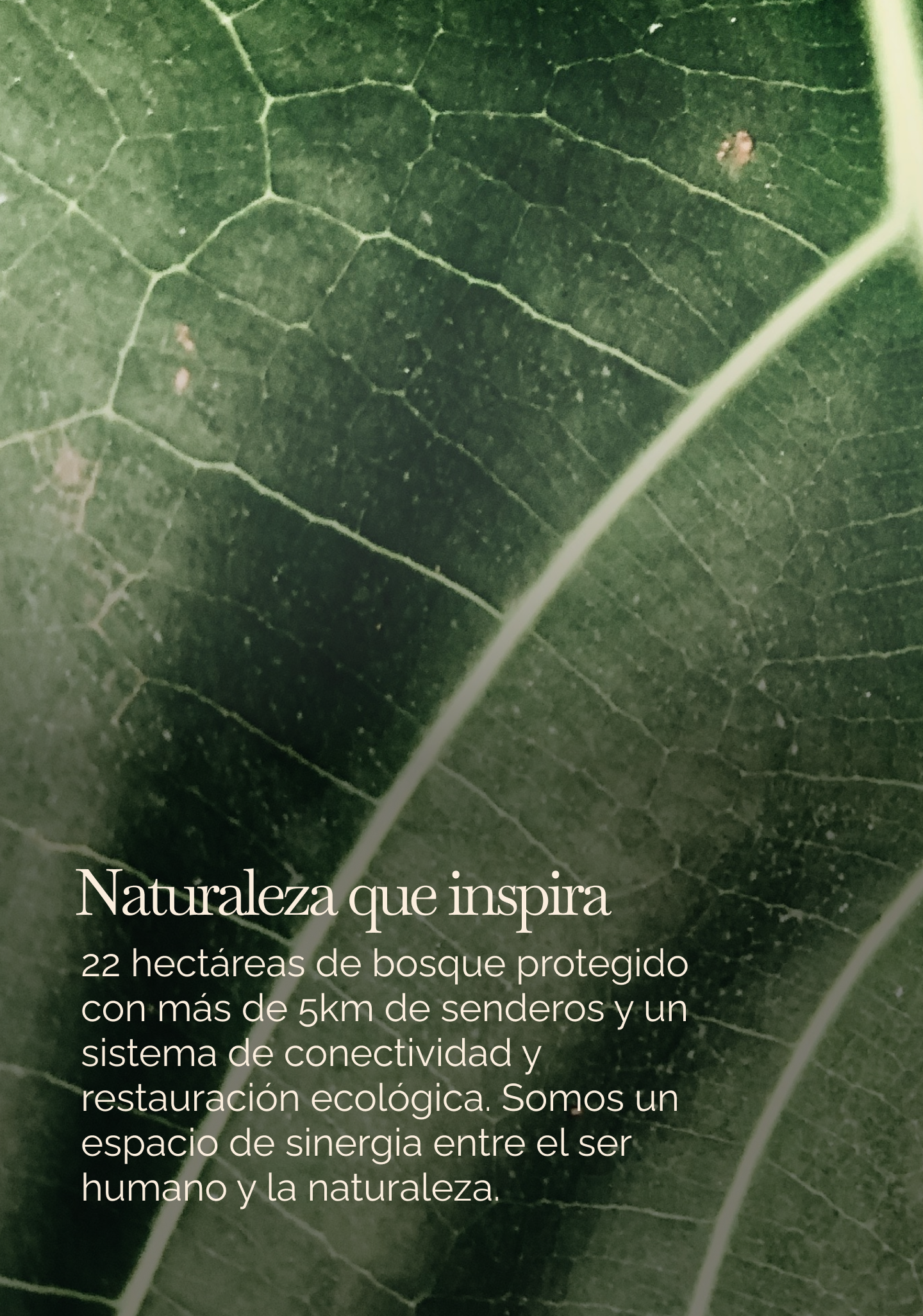 Nueva imagen porteria (5)