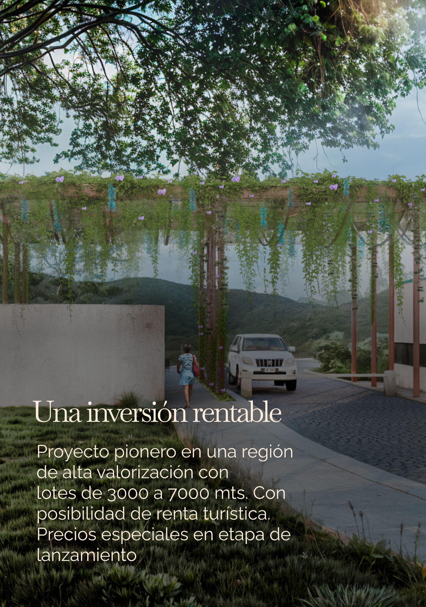 Nueva imagen porteria (6)