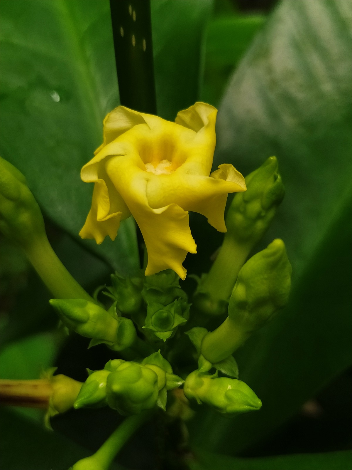 WhatsApp Image 2025-09-29 at 09.45.14