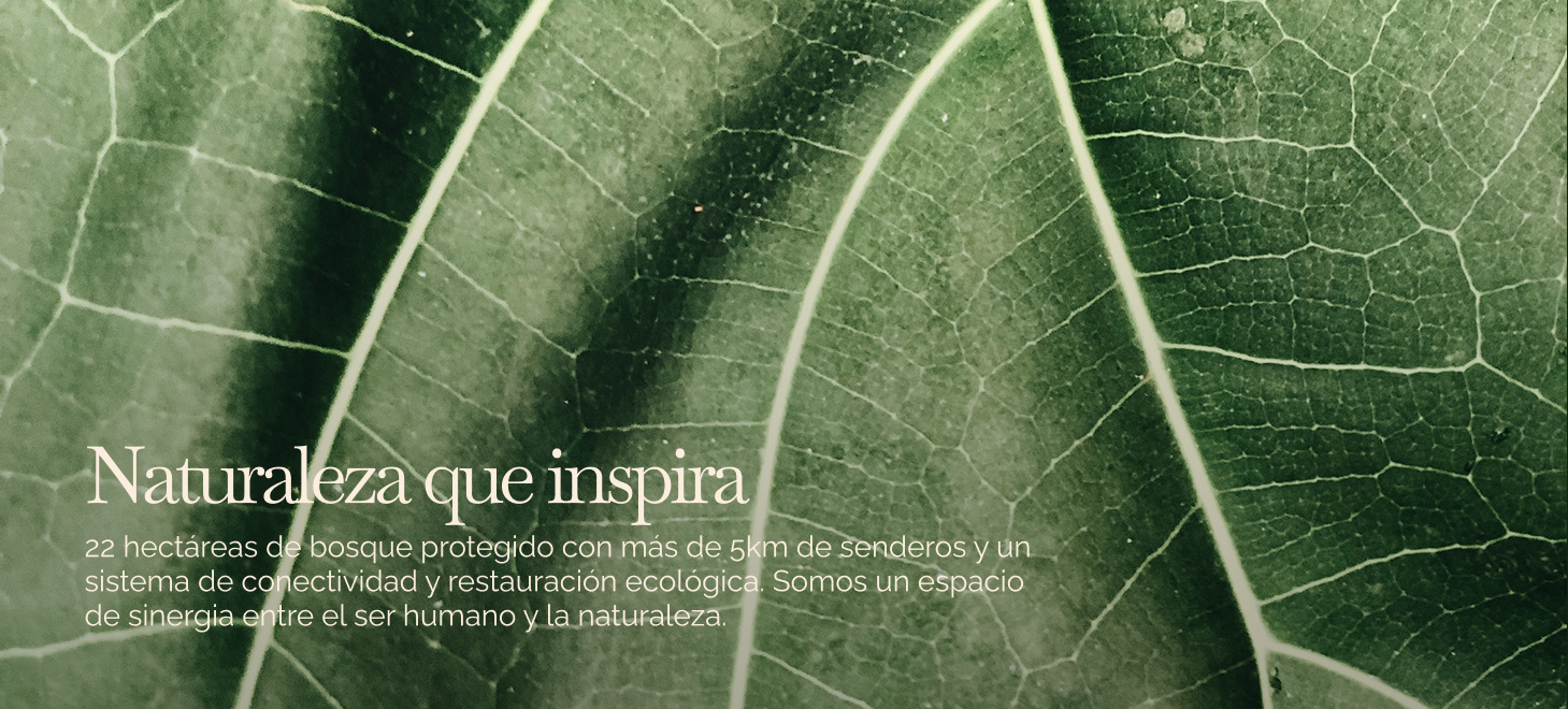 pexels-gustavo-cruz-1592119 2